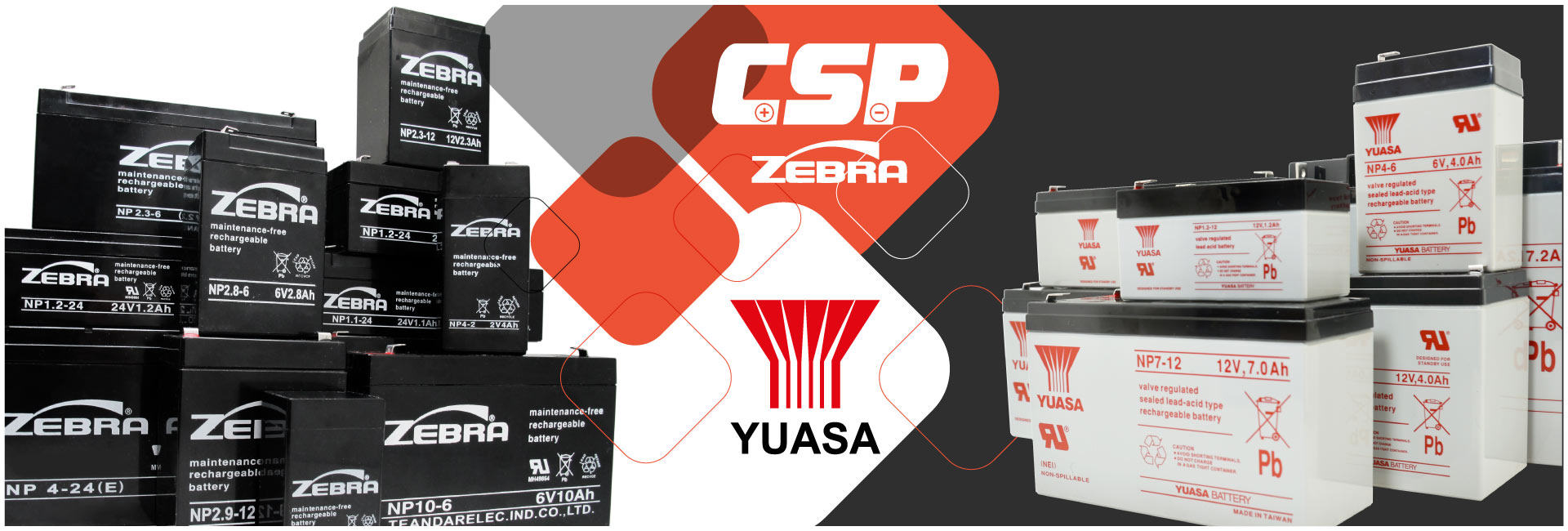 Forklift and GOlf Cart Battery Charger