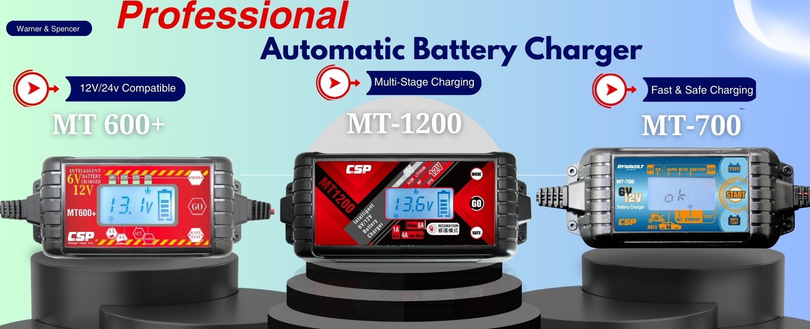 Professiona Intelligent Battery Charger